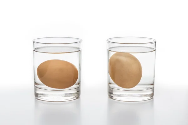 Test for Fresh and rotten eggs — Stock Photo, Image