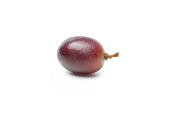 Single Grape — Stock Photo, Image