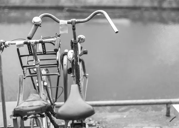 Велосипеды вместе — стоковое фото