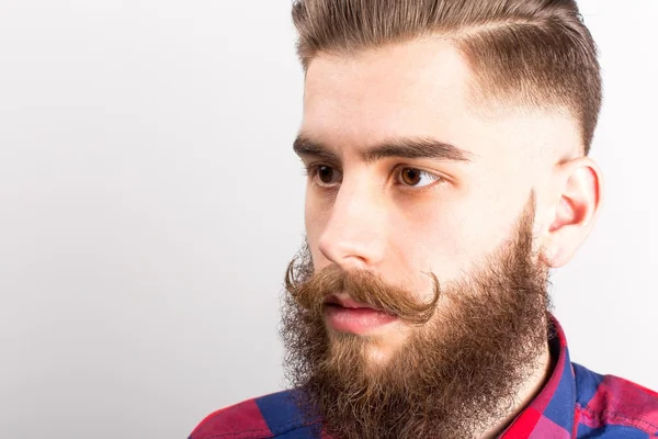 Süslü bıyık hipster