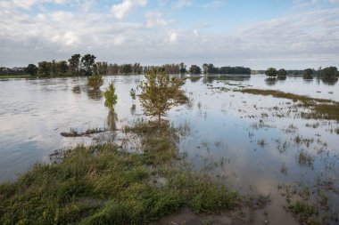 Nehirdeki selin en yüksek seviyesinde havuz taşmış.