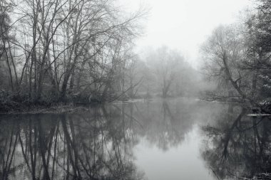 Nehir, orman ve sisli sakin sonbahar manzarası