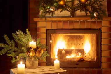 Ateşböceğinin önünde Noel çiçeği süslemesi.