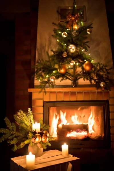 Ateşböceğinin önünde Noel çiçeği süslemesi.