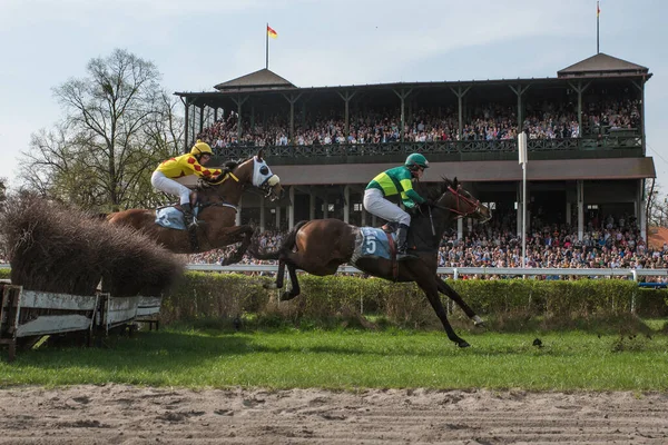 Wroclaw Polen April 2018 Rennen Mit Zäunen Für Pferde Vier — Stockfoto