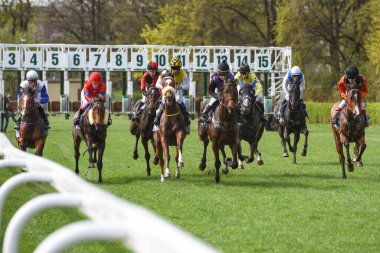WROCLAW, POLAND - 15 Nisan 2018: Racecourse WTWK Partynice 'de üç yaşındaki atlar için yarış. Sezonun açılış günü..