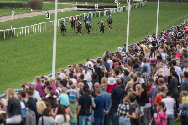 Wroclaw Poland April 2018 Race För Tre Och Äldre Hästar — Stockfoto