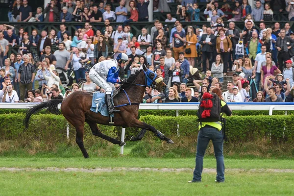 Wroclaw Polonia Abril 2018 Carrera Internacional Con Obstáculos Para Cuatro — Foto de Stock