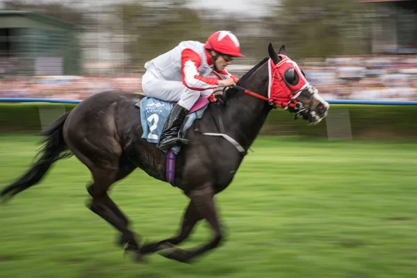 Wroclaw Polonia Abril 2018 Carrera Estudiantil Hipódromo Wtwk Partynice Día — Foto de Stock