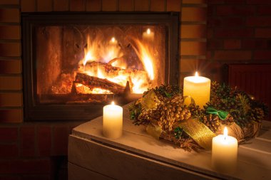 Ateşböceğinin önünde Noel çiçeği süslemesi.