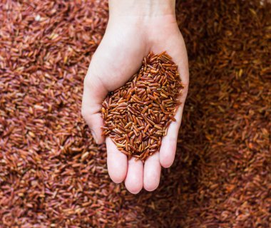 Pirinç yandan kahverengi