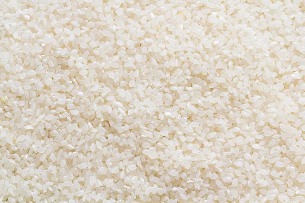 Short Grain Rice