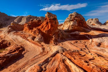 Beyaz cep, Arizona, ABD