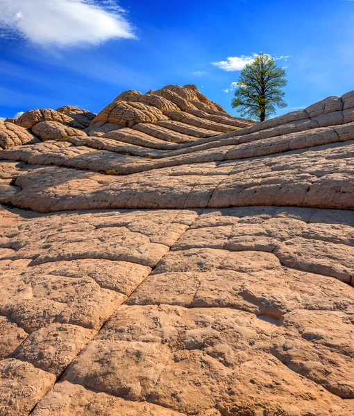 Beyaz cep, Arizona, ABD — Stok fotoğraf