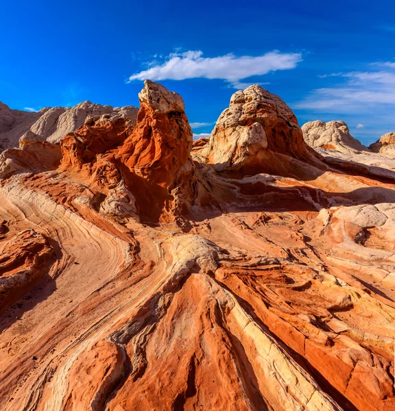 Beyaz cep, Arizona, ABD