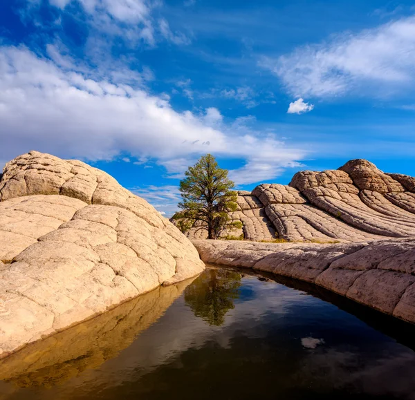 White Pocket, Arizona, Estados Unidos —  Fotos de Stock