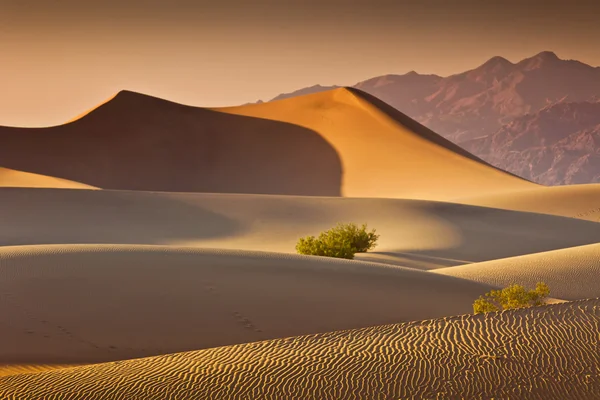 Woestijn Death Valley — Stockfoto