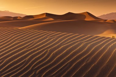 Desert Death Valley clipart