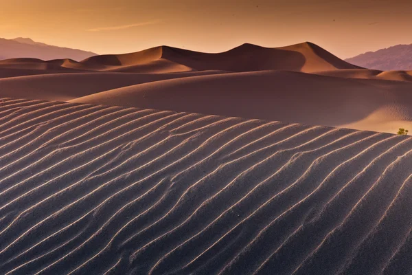 Desert Death Valley — Stock Photo, Image