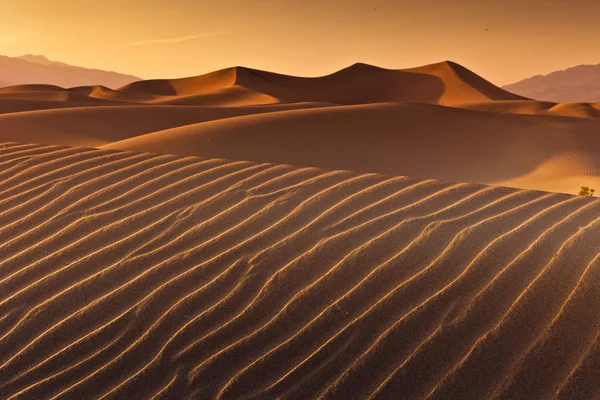 Desert Death Valley — Stock Photo, Image