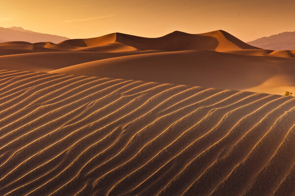 Desert Death Valley