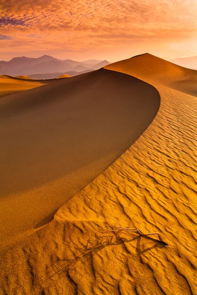 Desert vallée de la mort — Photo