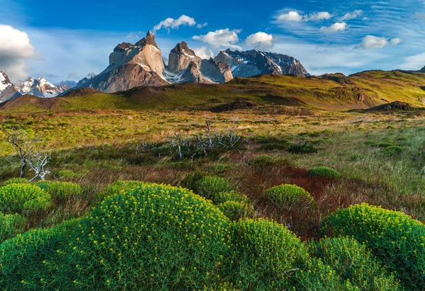 Lago Pehoe, Güney Şili'deki Torres del Paine Millî Parkı.