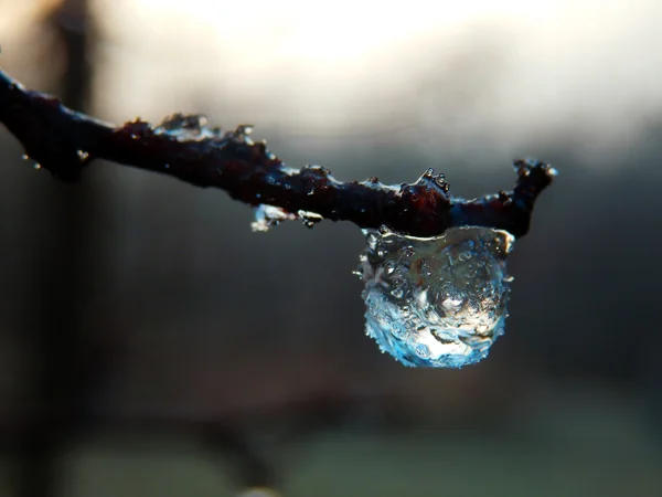 Gota de agua congelada —  Fotos de Stock