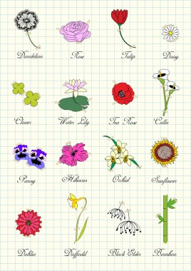 Vintage renkli çiçekler