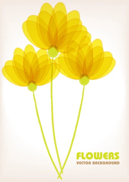 Kleur vector transparante bloemen — Stockvector