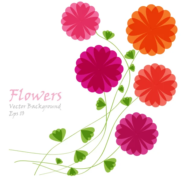 Color vector flowers background — Stock Vector