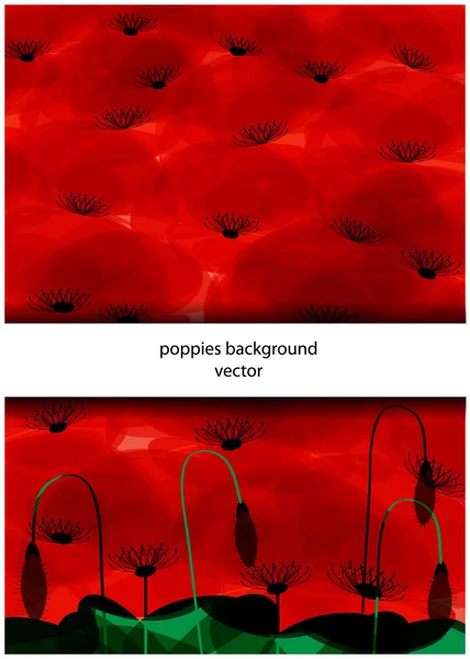 Fond de coquelicots rouges — Image vectorielle