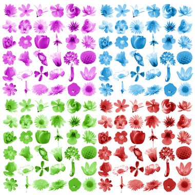 soyut suluboya çiçek desenleri