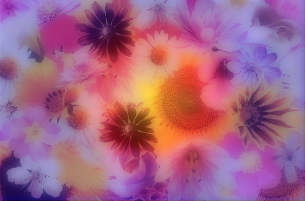 Romantische Blumen Hintergrund — Stockfoto