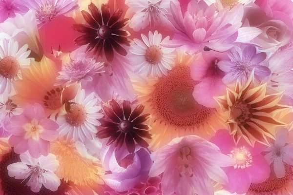 Fondo de flores románticas — Foto de Stock