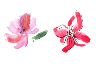 pembe lilyum çizim suluboya 