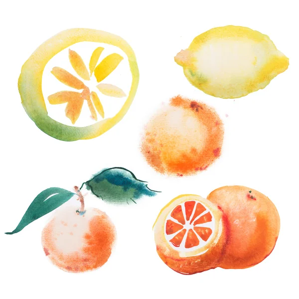 Drawing set of tropical fruits — Stock Photo, Image