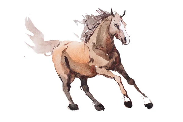 Watercolor painting of galloping horse — Stock Photo, Image