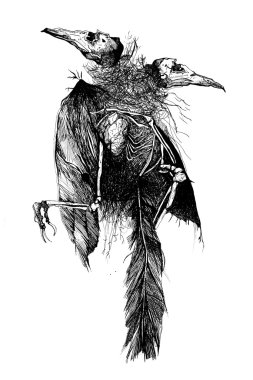 outline ink print of bird corpses  clipart