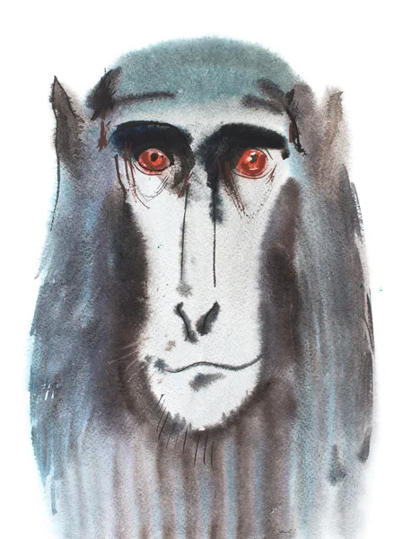 Akvarel portrét šedá chlupatá opice. — Stock fotografie