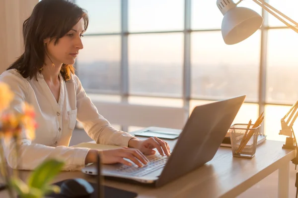 Sidovy av en kvinnlig programmerare med laptop — Stockfoto