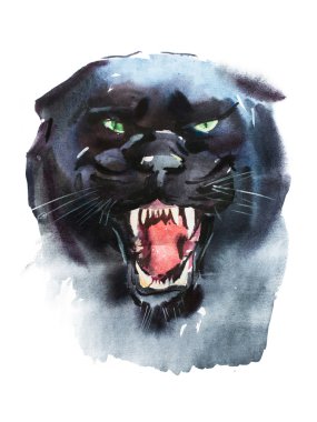 Suluboya kızgın görünümlü Panter çizim. 
