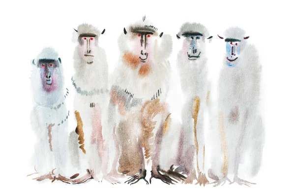 Watercolor portrait of monkeys. — Stock Photo, Image