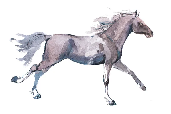 Acuarelă desen de cal — Fotografie, imagine de stoc