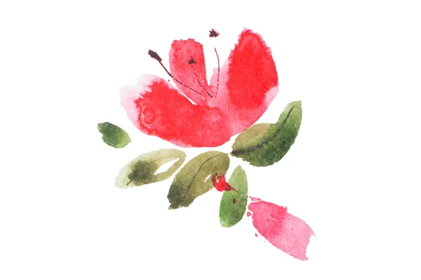 花の水彩画 — ストック写真