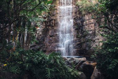 Tropikal ormanda şelale