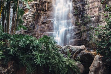 Yağmur ormanlarında tropik şelale