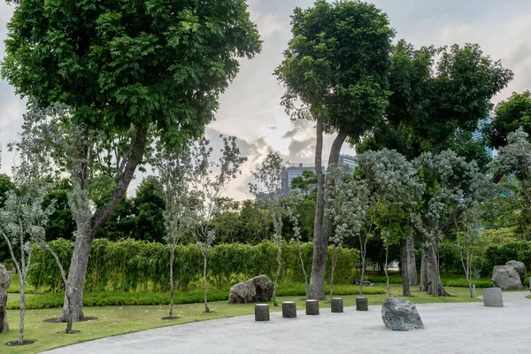 City park with trees, trimmed bushes. Landscape design.