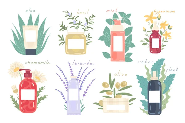 Différents types de cosmétiques dans différents emballages avec des ingrédients naturels — Image vectorielle