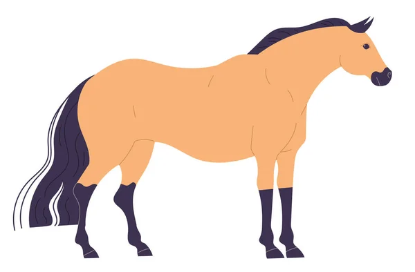 Ηρεμία, στέκεται ευθεία, ανοιχτόχρωμο άλογο με σκούρα πόδια και χαίτη. — Διανυσματικό Αρχείο